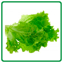 Leafy vegetables