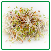 Sprouts
