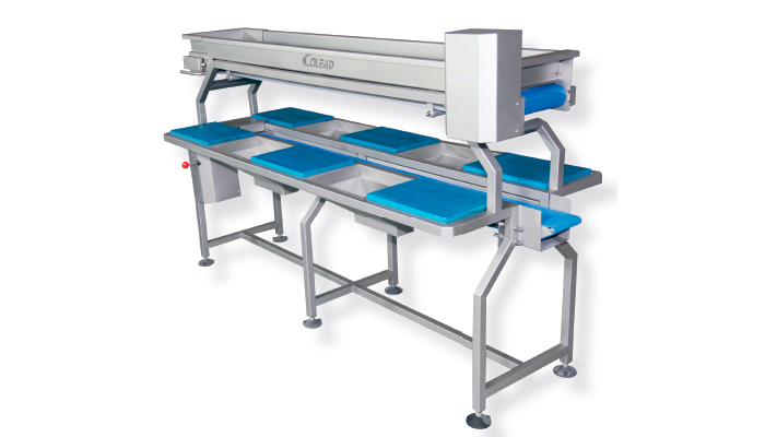 Double Conveyor Workstation